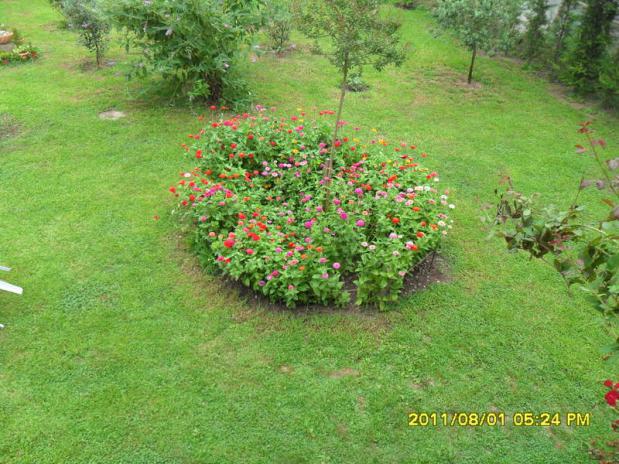 Name:  001.jpg
Views: 1878
Size:  70.2 KB