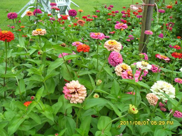 Name:  016.jpg
Views: 1906
Size:  71.7 KB