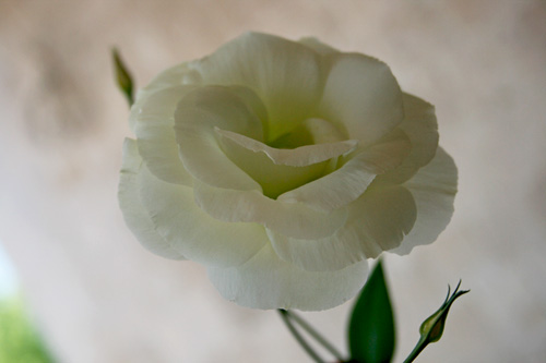 Name:  11.jpg
Views: 980
Size:  46.9 KB