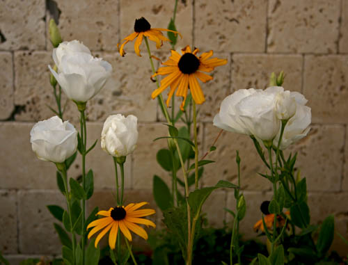 Name:  IMG_8866.JPG
Views: 1008
Size:  55.4 KB