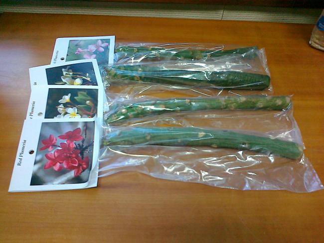 Name:  041020111592.jpg
Views: 758
Size:  47.7 KB