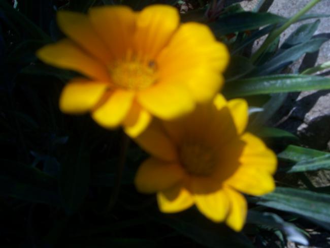 Name:  100_1887.jpg
Views: 1595
Size:  25.3 KB