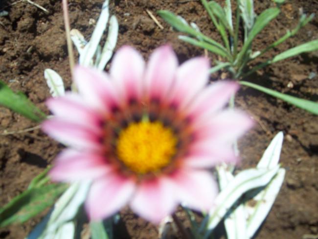 Name:  100_1888.jpg
Views: 1663
Size:  41.6 KB