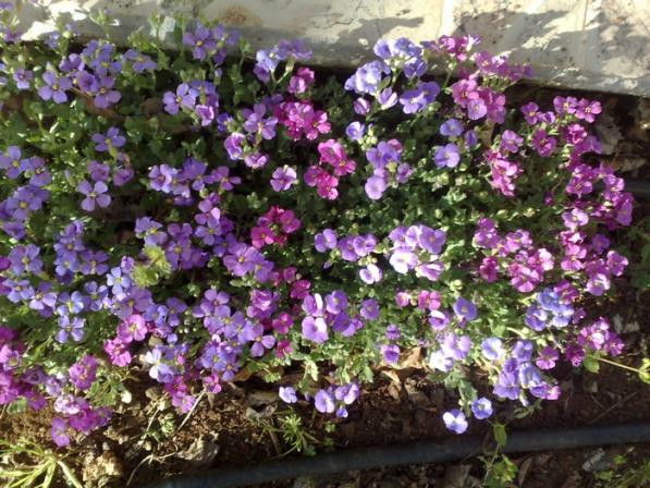 Name:  obrz.jpg
Views: 5498
Size:  72.5 KB