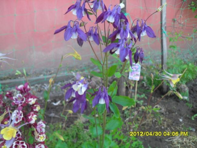 Name:  052.jpg
Views: 1436
Size:  49.1 KB
