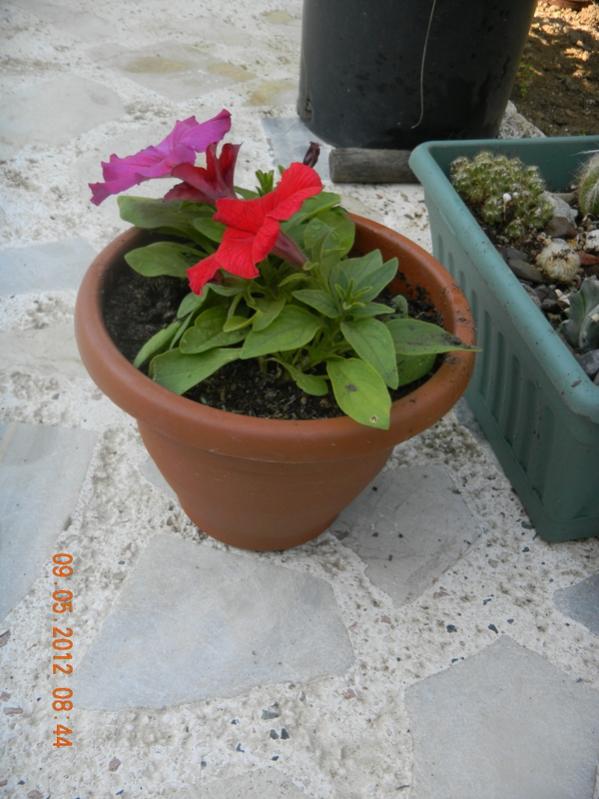 Name:  DSCN0929.jpg
Views: 1908
Size:  64.1 KB