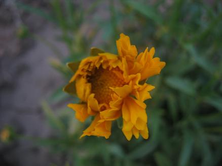 Name:  3.JPG
Views: 3709
Size:  27.8 KB