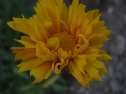 Name:  4.JPG
Views: 3739
Size:  29.4 KB