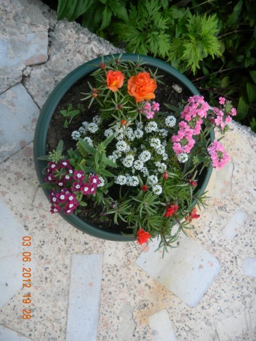Name:  DSCN1305.jpg
Views: 1980
Size:  69.2 KB