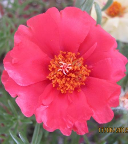 Name:  011-crop.jpg
Views: 2033
Size:  25.2 KB