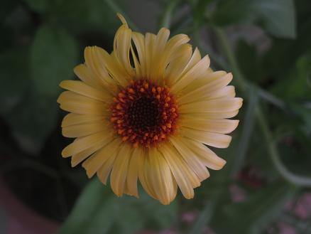 Name:  aynsafa.JPG
Views: 7788
Size:  28.6 KB
