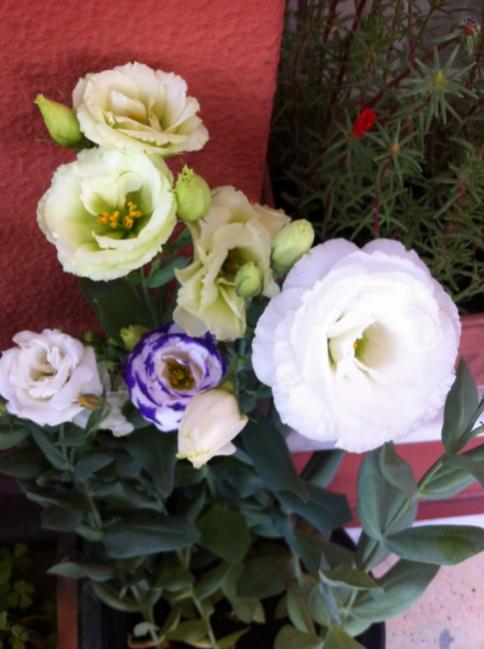 Name:  Resim 021.jpg
Views: 722
Size:  41.6 KB
