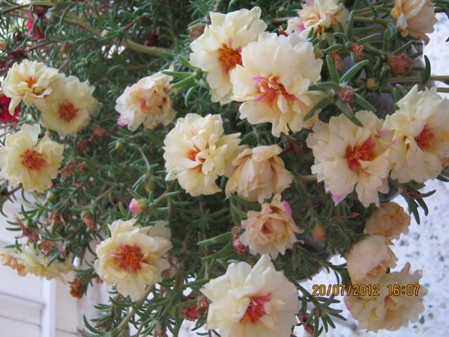 Name:  004.jpg
Views: 2571
Size:  57.1 KB