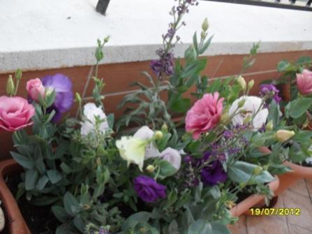 Name:  007.jpg
Views: 656
Size:  25.0 KB