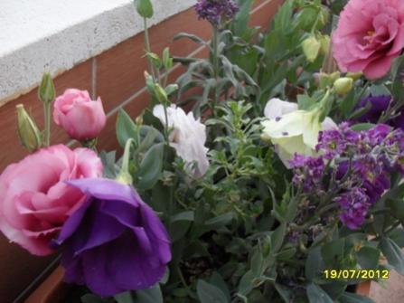 Name:  009.jpg
Views: 636
Size:  26.0 KB