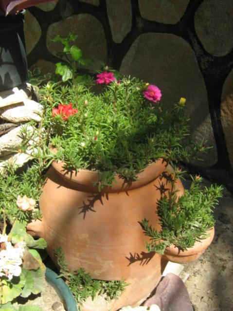 Name:  yeni resimler 5 007.jpg
Views: 1402
Size:  53.7 KB