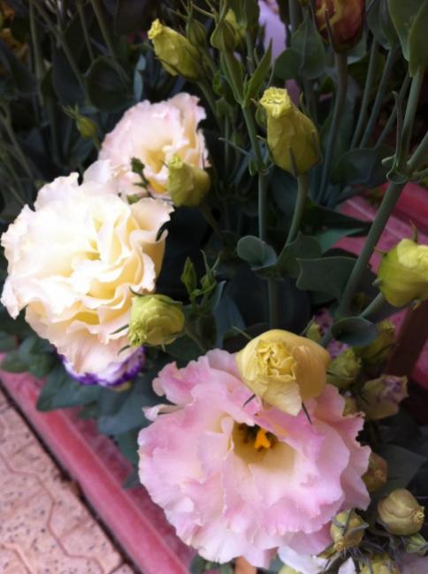 Name:  IMG_2647.jpg
Views: 542
Size:  41.9 KB