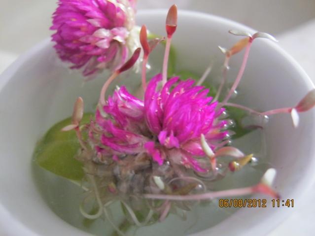 Name:  002.jpg
Views: 1704
Size:  28.9 KB