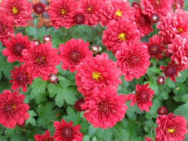 Name:  K1.jpg
Views: 1314
Size:  63.9 KB