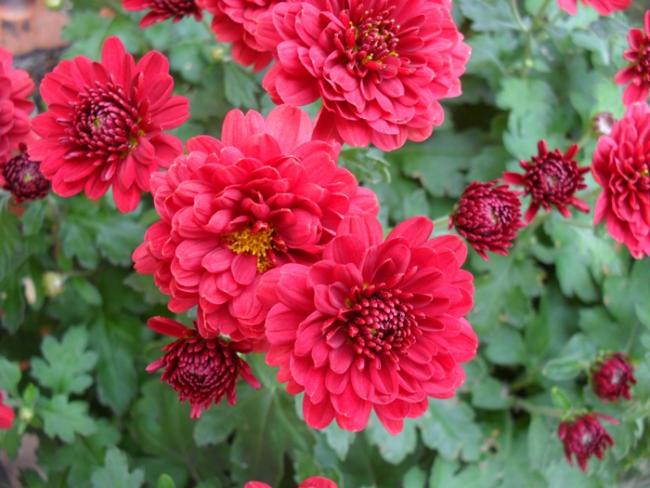 Name:  K2.jpg
Views: 1229
Size:  52.3 KB