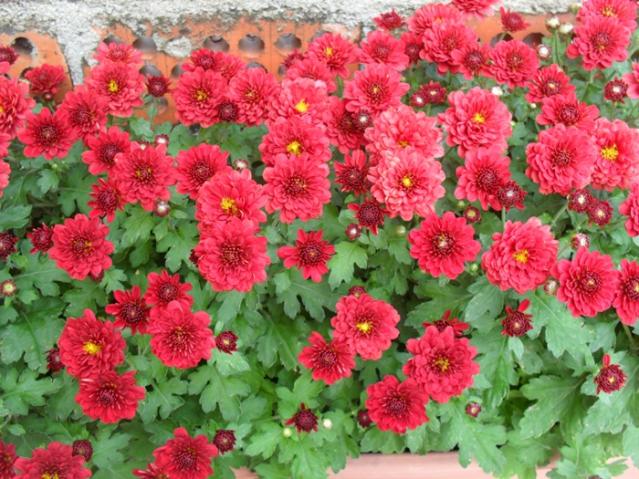 Name:  K3.jpg
Views: 1247
Size:  70.1 KB