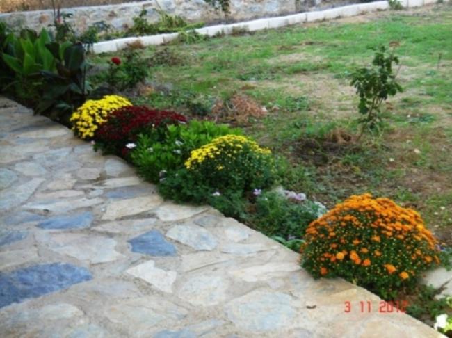 Name:  Resim 031.jpg
Views: 1171
Size:  54.5 KB