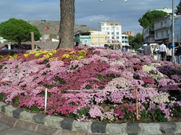 Name:  Bergama 2.jpg
Views: 1544
Size:  71.2 KB