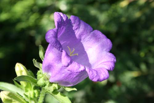 Name:  IMG_1646.JPG
Views: 1618
Size:  41.3 KB