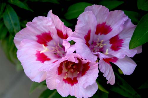 Name:  IMG_2007.jpg
Views: 2335
Size:  43.7 KB