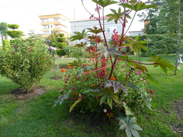 Name:  27-027.jpg
Views: 1070
Size:  70.4 KB