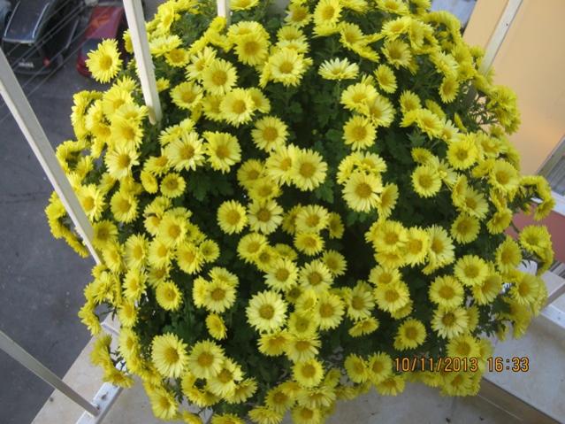 Name:  018.jpg
Views: 1881
Size:  66.0 KB