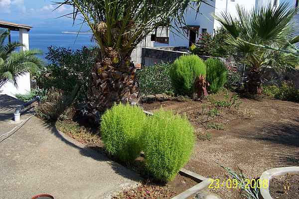 Name:  100_2965.jpg
Views: 11747
Size:  69.1 KB