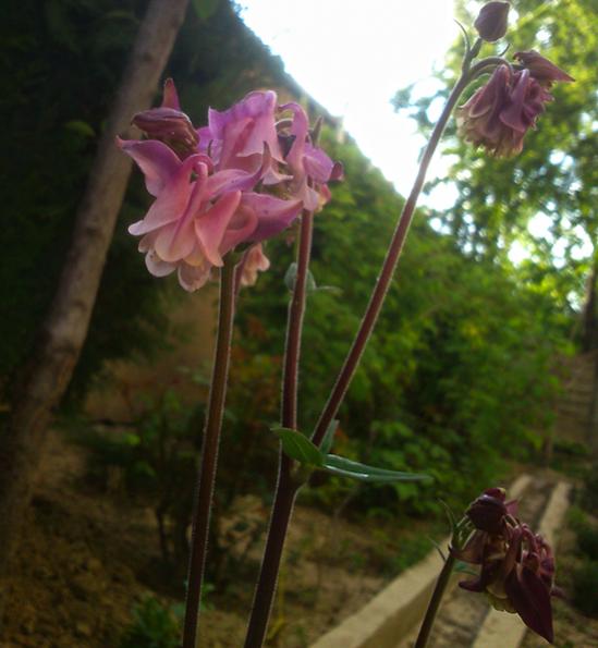 Name:  haseki_kupesi.jpg
Views: 1184
Size:  39.5 KB