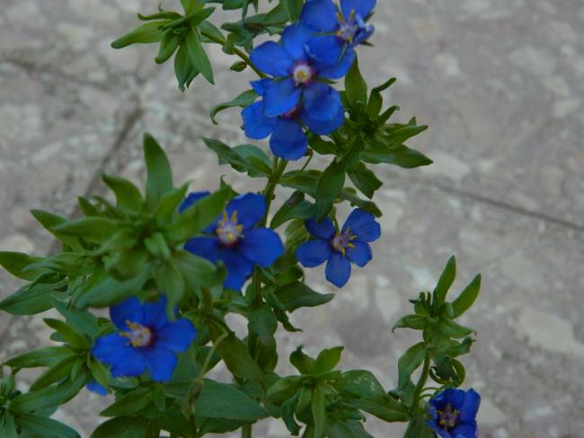 Name:  DSCN2042.jpg
Views: 2521
Size:  39.2 KB