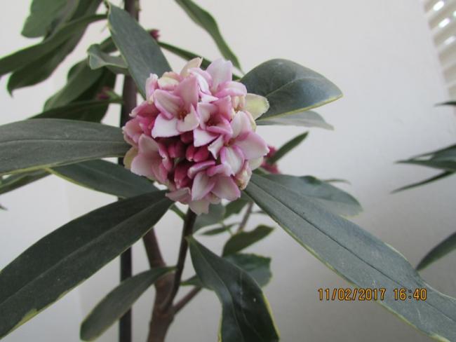 Name:  IMG_4501.jpg
Views: 1181
Size:  32.4 KB