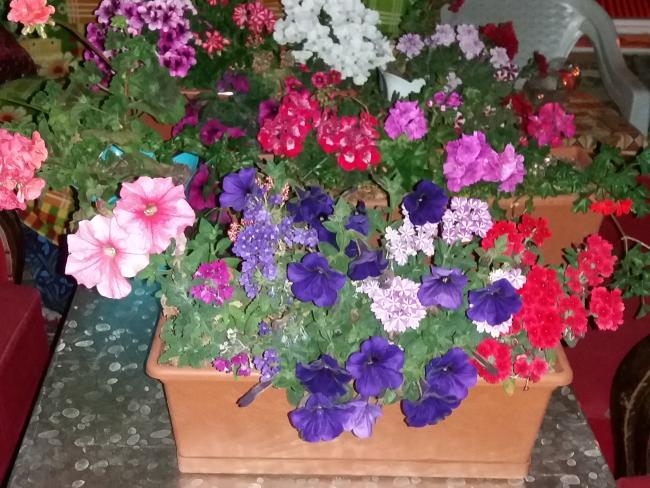 Name:  20170630_221935.jpg
Views: 963
Size:  67.0 KB