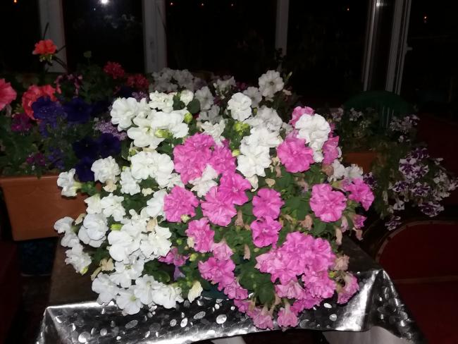 Name:  20170630_222437.jpg
Views: 955
Size:  53.6 KB