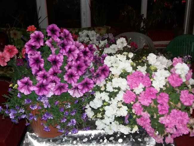 Name:  20170630_222648.jpg
Views: 991
Size:  64.4 KB