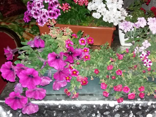Name:  20170630_221409.jpg
Views: 945
Size:  70.6 KB