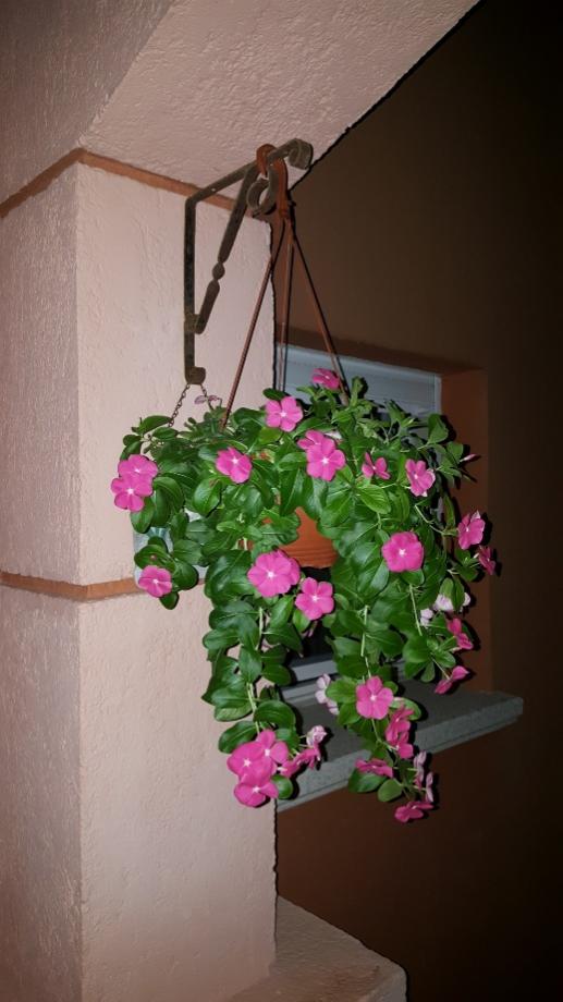 Name:  Sarkan rozet iei.jpg
Views: 893
Size:  55.9 KB