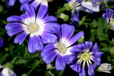 Name:  002.JPG
Views: 26405
Size:  49.7 KB
