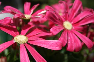 Name:  006.JPG
Views: 25538
Size:  44.1 KB