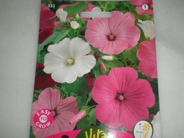 Name:  DSCN5479.jpg
Views: 3978
Size:  34.5 KB
