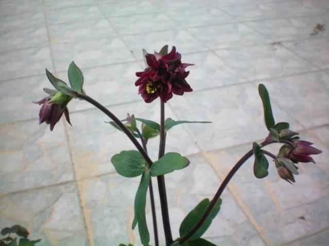Name:  haseki.jpg
Views: 1271
Size:  31.9 KB
