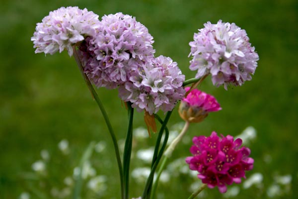 Name:  015.JPG
Views: 2907
Size:  59.2 KB