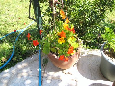 Name:  IMG_0329.jpg
Views: 1061
Size:  57.7 KB