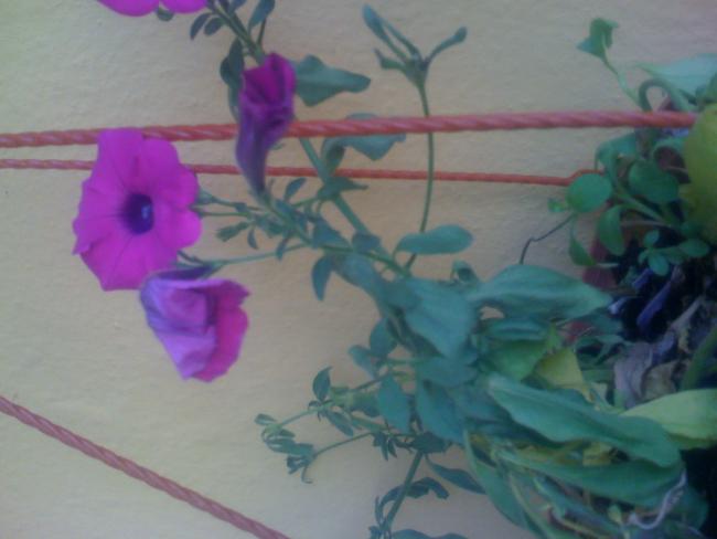 Name:  Resimp 001.jpg
Views: 5029
Size:  29.7 KB