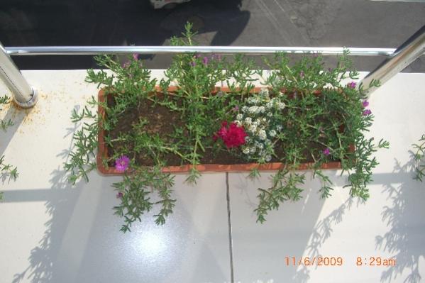 Name:  sahibinden_CIMG3649.jpg
Views: 2131
Size:  39.4 KB