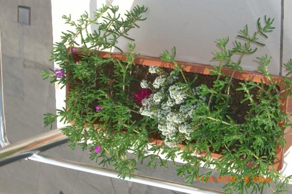 Name:  sahibinden_CIMG3651.jpg
Views: 2272
Size:  48.6 KB