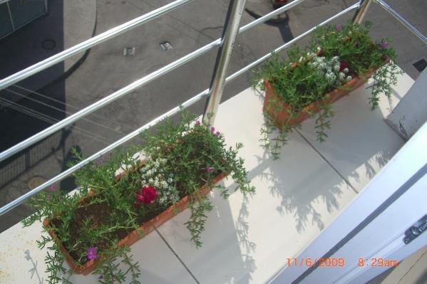 Name:  sahibinden_CIMG3652.jpg
Views: 2012
Size:  39.7 KB